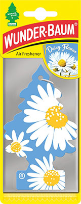 ILMANRAIKASTIN DAISYFLOWER 